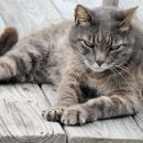 헤어사랑 이미지