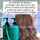 채도스칼프 이미지