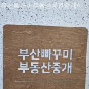 부산빠꾸미부동산공인중개사사무소 네이버블로그