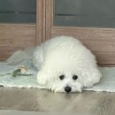 봉곡서로-1 이미지