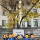 위드태권도 이미지