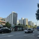 요즘 일상 그리고 퇴사