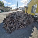 꿈나무실업 이미지