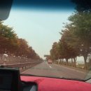 화정벌의원 이미지