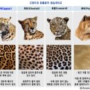 가가동물원 이미지