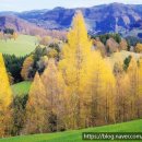 건아치과의원 이미지