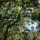 북한산초입 화장실 이미지