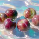 하루에 헤어 - 용인시 기흥구 | 하루에 헤어