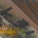 청춘크린