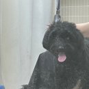 구르미살롱 네이버블로그