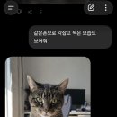 내 지피티 미묘 인 것 같아 이미지