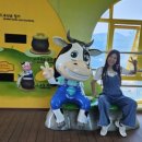 임실치즈테마파크3 이미지