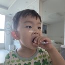 보성유지바이오㈜ | 유아유산균 가루형 닥터에디션 바이오D 스틱 매일 챙겨요