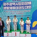 주호태권도 이미지