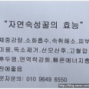 세영자동차정비공업사 이미지