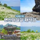 부안변산마실길 | 전북 부안 가볼만한곳 변산마실길 샤스타데이지 채석강 아너드투어
