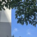 딱따구리PC방 이미지