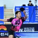 에이스싸커