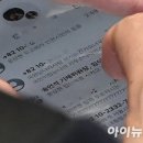 시니 이미지