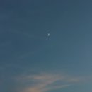 달이 떴다고 전화를 주시다니요 이미지