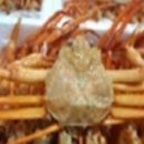 연지수산 이미지