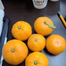 오남도서관 지상2층 이미지