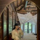 [임신 19-22주] 태교여행 그리고 정밀 초음파검사!