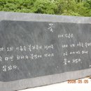 꽃에꽂히다