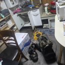 동일청과 이미지