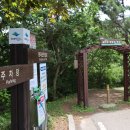 [고흥] 봉래산(蓬萊山·410ｍ) 산행후기(1)---2024년 6월 26일(수) 이미지