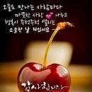 황윤길 묘 | 《재미있는 성씨 이야기13》