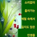 오룡골 네이버블로그