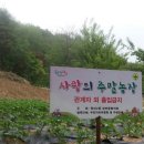 사랑의농장 이미지