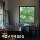 (주)부산은행 | 부산 은행나무 단풍뷰 카페 모음집 PICK 5