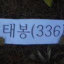 공근면사무소 이미지