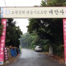 대안사 경내 Daum카페