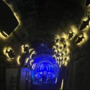 UR(밀양시)-[산외로]-상-19 | 밀양뷰맛집 M.Y커피윌 오후의정원 후기, 밀양산외면카페추천