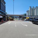 홍천숯불백 이미지