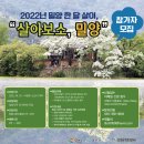 미리벌관 | 밀양여행 한달살기 시내 코스 4곳 밀양 필수 가볼만한곳, 경남여행코스 추천