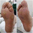 레푸스앤두두뷰티 이미지