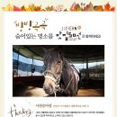 사천승마장 이미지