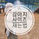 강아지 옷 만들기 이미지