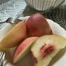 금바위농장 이미지