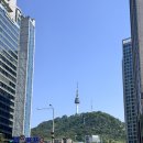 명동칼국수 | 명동 맛집 등촌샤브칼국수 명동점 얼큰버섯칼국수 내돈내산 후기