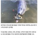물물 티스토리