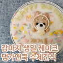 댕가앤쿡 | 강아지케이크 댕가앤쿡 강아지생일 수제간식으로 너무잘먹어