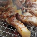 제주도야지 이미지