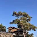 낙동놀자 이미지