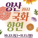 양산 국화축제 일시 ; 2022년 10월 22일 ~ 11월 13일 까지 이미지