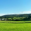 피스테라 이미지